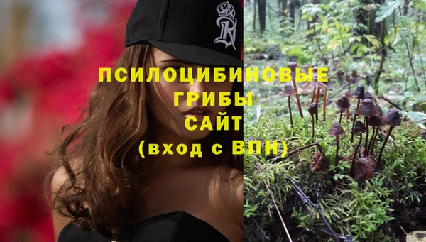 сатива Горно-Алтайск