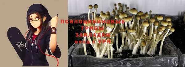 гашишное масло Горнозаводск
