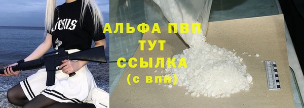 сатива Горно-Алтайск