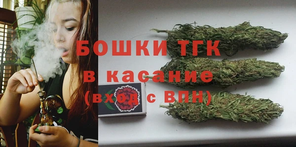сатива Горно-Алтайск