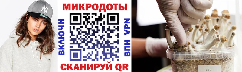 Купить закладки  Шадринск  Псилоцибиновые грибы Magic Shrooms 
